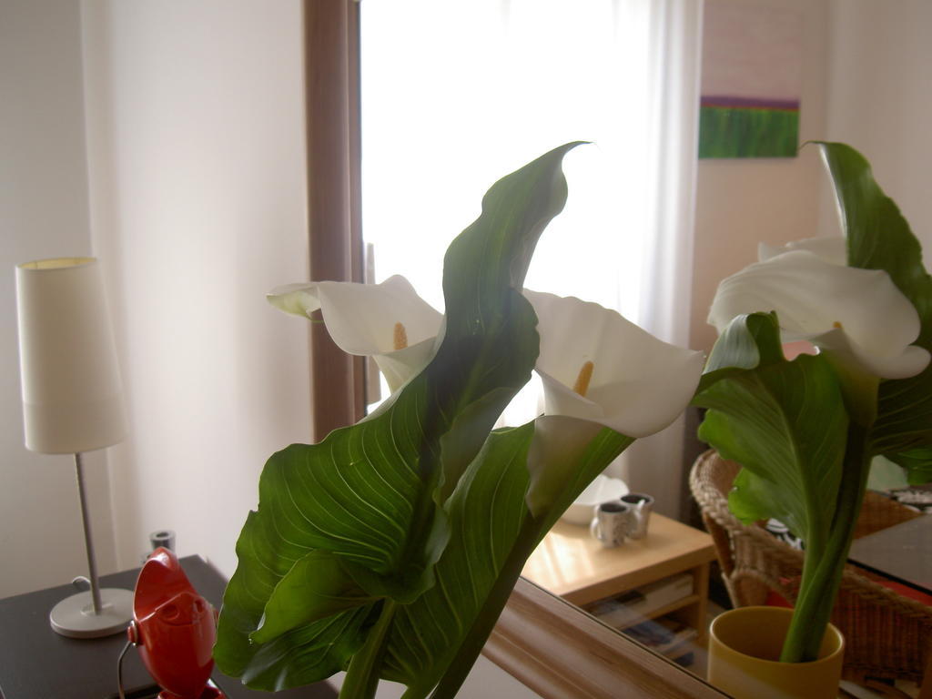 A Casa Romar Bed & Breakfast Turin Luaran gambar